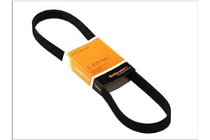 51BNZtbOe+L._AC_UL320_