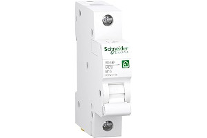 51XsRM6Zy6L._AC_UL320_